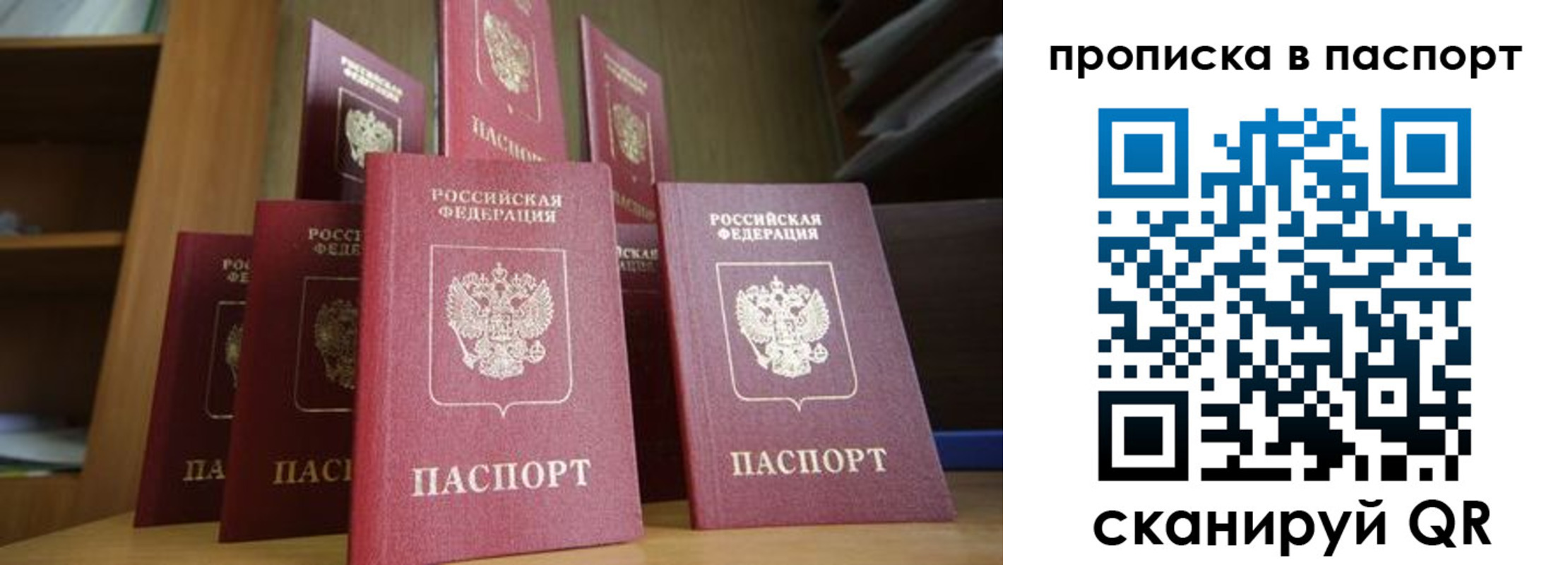 прописка законно в Электрогорске