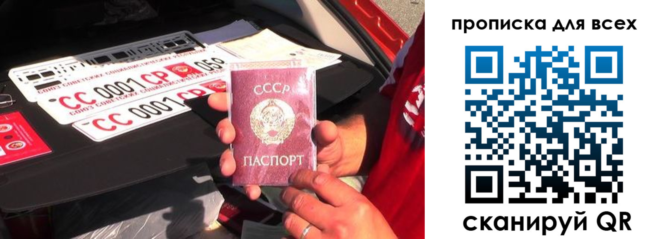 прописка для школы в Электрогорске